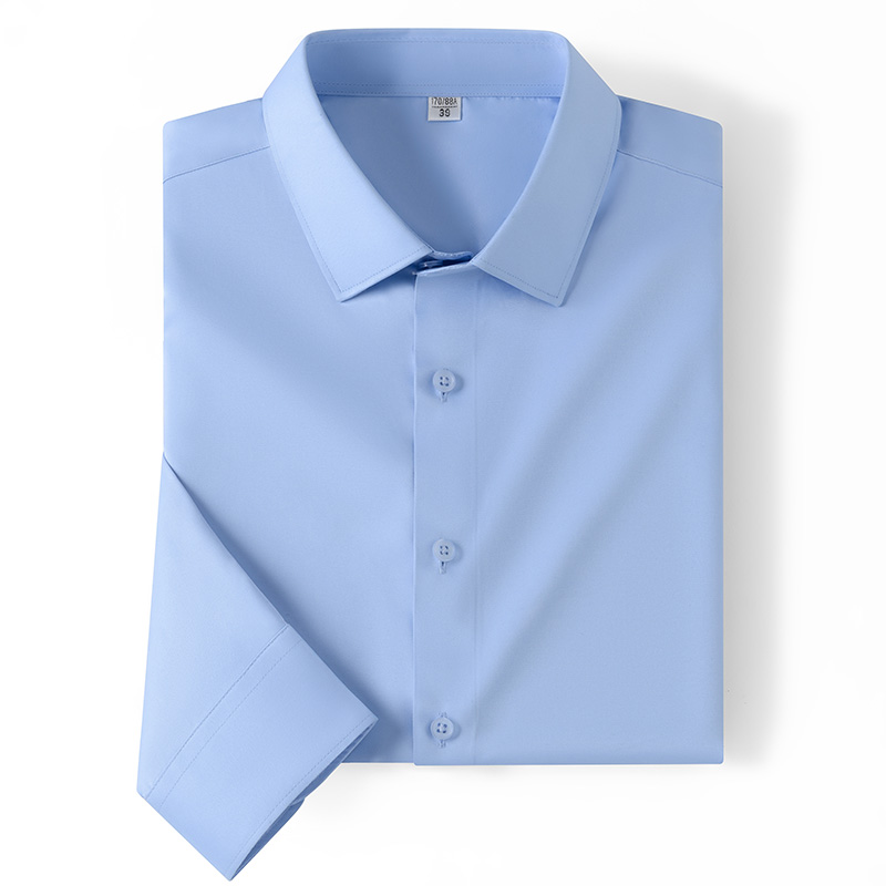 Dress Shirt Non-Iron - Camisa de negocios para hombre, manga